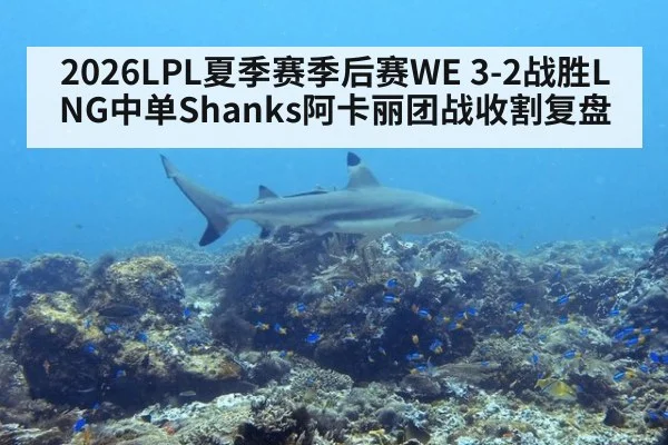 2026LPL夏季赛季后赛WE 3-2战胜LNG中单Shanks阿卡丽团战收割复盘